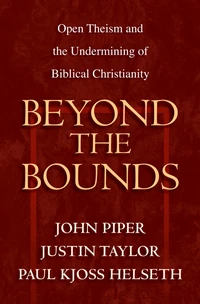 Cover of Beyond the Bounds