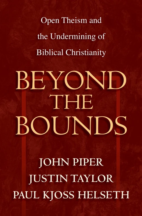 Cover of Beyond the Bounds