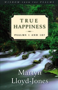 Cover of True Happiness