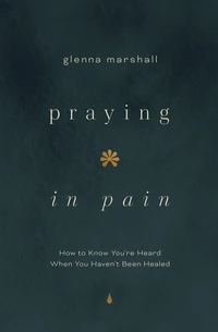 Cover of Praying in Pain