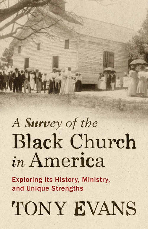 Cover of A Survey of the Black Church in America