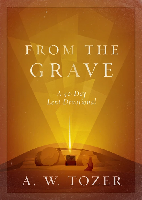 Cover of From the Grave