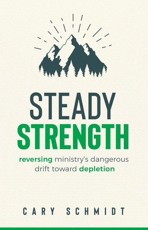 Cover of Steady Strength