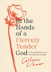 Cover of In the Hands of a Fiercely Tender God