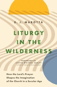Cover of Liturgy in the Wilderness