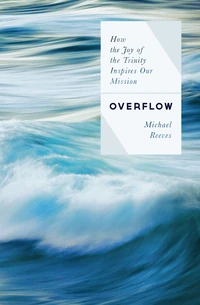 Cover of Overflow