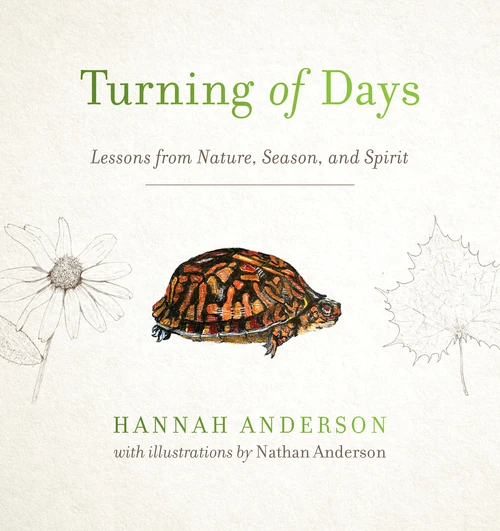 Cover of Turning of Days