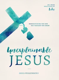 Cover of Unexplainable Jesus