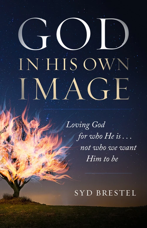 Cover of God in His Own Image