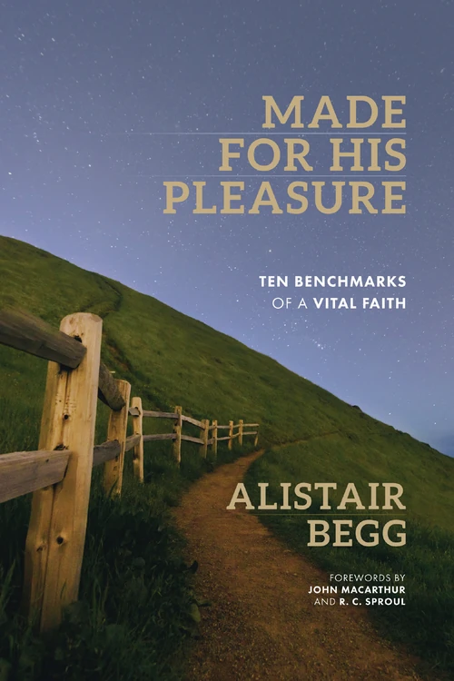 Cover of Made for His Pleasure