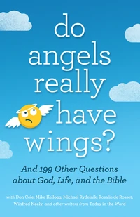 Cover of Do Angels Really Have Wings?