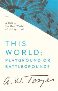 Cover of This World: Playground or Battleground?