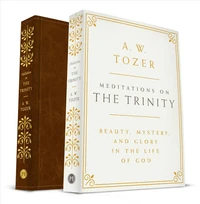 Cover of Meditations on the Trinity