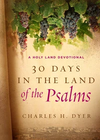 Cover of 30 Days in the Land of the Psalms