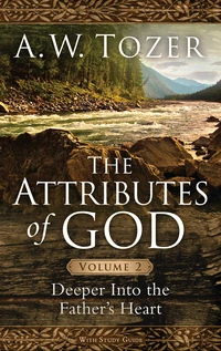 Cover of The Attributes of God Volume 2
