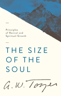 Cover of The Size of the Soul