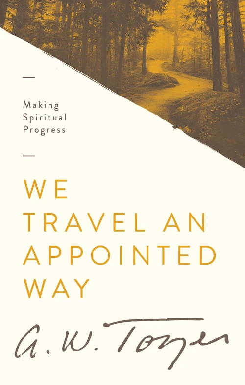 Cover of We Travel an Appointed Way