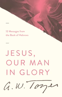 Cover of Jesus, Our Man in Glory