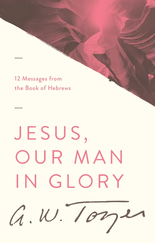 Cover of Jesus, Our Man in Glory