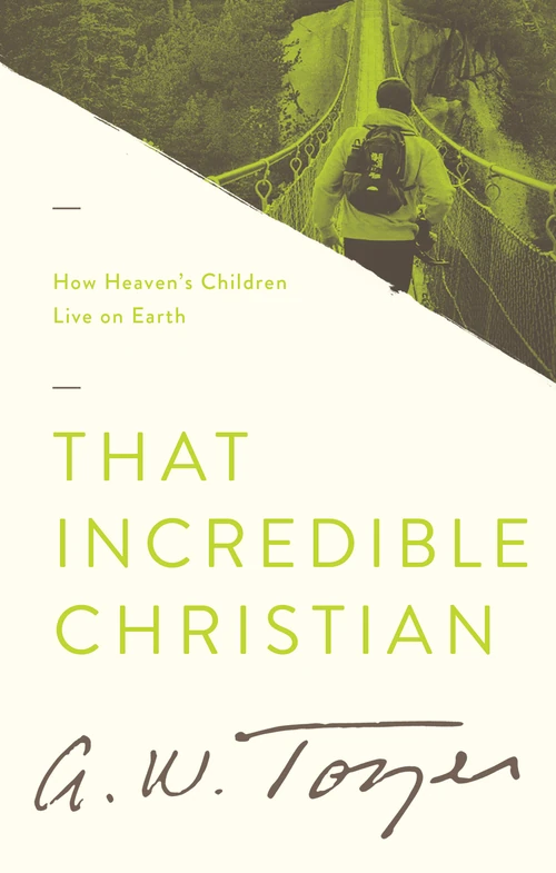 Cover of That Incredible Christian