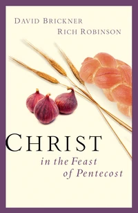Cover of Christ in the Feast of Pentecost