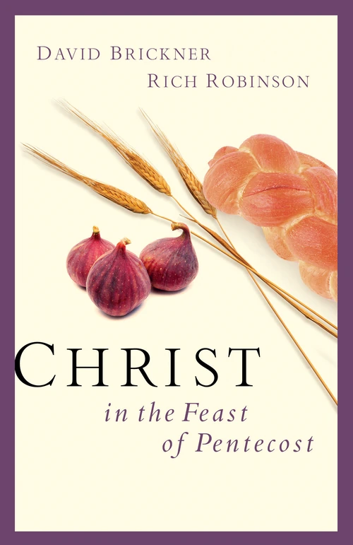 Cover of Christ in the Feast of Pentecost