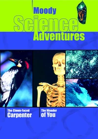 Cover of The Clown-Faced Carpenter and The Wonder of You