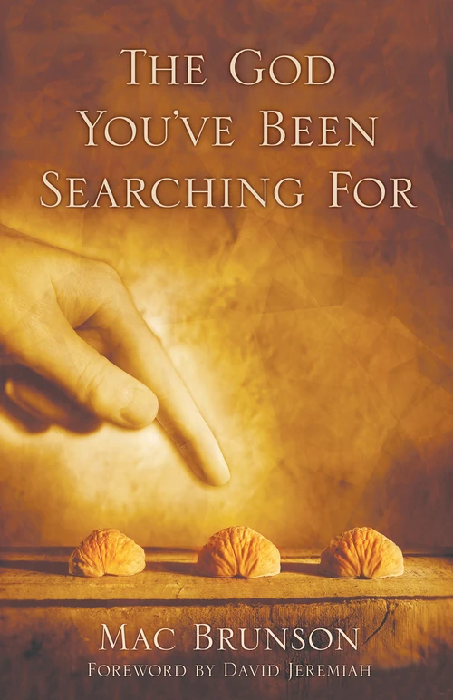 Cover of The God You've Been Searching For