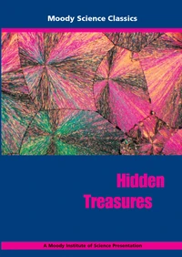Cover of Hidden Treasures