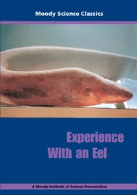 Cover of Experience with an Eel