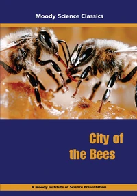 Cover of City of the Bees