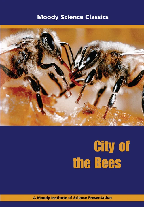 Cover of City of the Bees