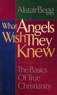 Cover of What Angels Wish They Knew