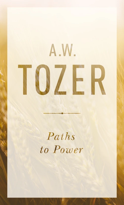 Cover of Paths to Power