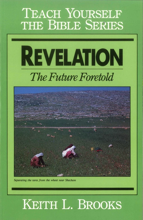 Cover of Revelation- Teach Yourself the Bible Series