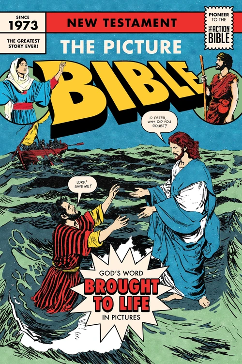Cover of The Picture Bible New Testament