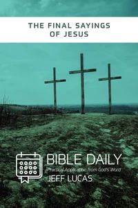 Cover of Bible Daily Notes