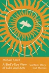 Cover of A Bird's-Eye View of Luke and Acts