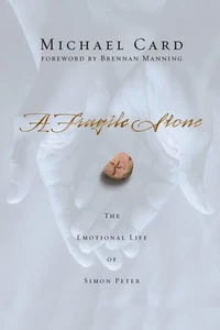 Cover of A Fragile Stone