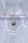 Cover of A Fragile Stone Study Guide