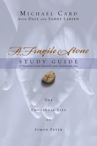 Cover of A Fragile Stone Study Guide