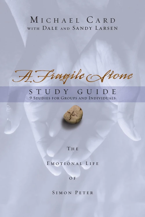 Cover of A Fragile Stone Study Guide