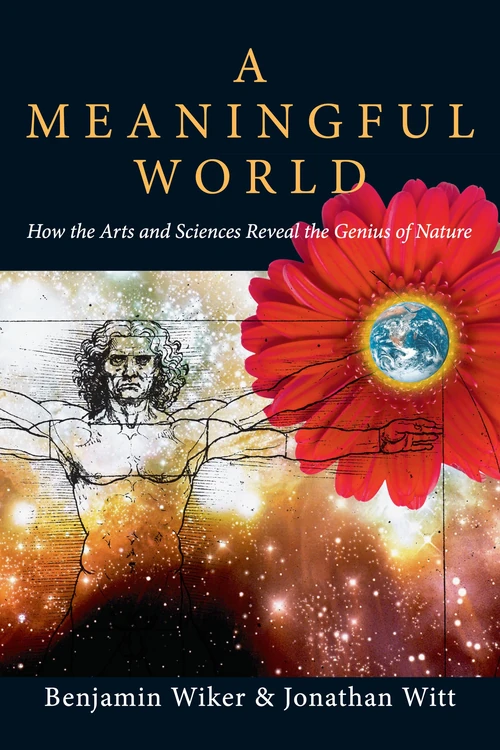 Cover of A Meaningful World