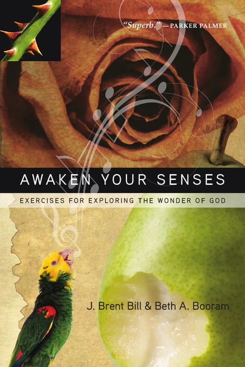 Cover of Awaken Your Senses