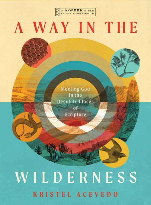 Cover of A Way in the Wilderness