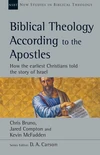 Cover of Biblical Theology According to the Apostles