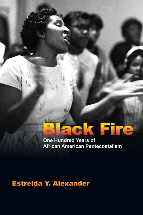 Cover of Black Fire