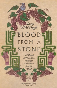 Cover of Blood From a Stone