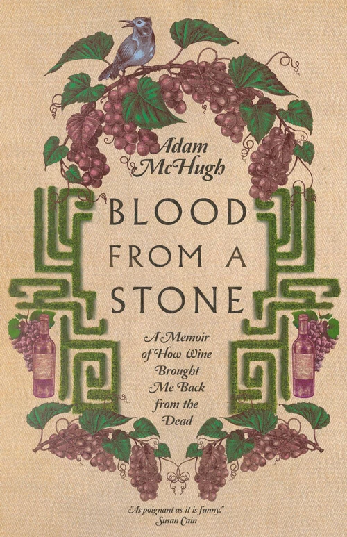 Cover of Blood From a Stone