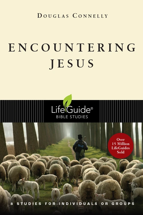 Cover of Encountering Jesus